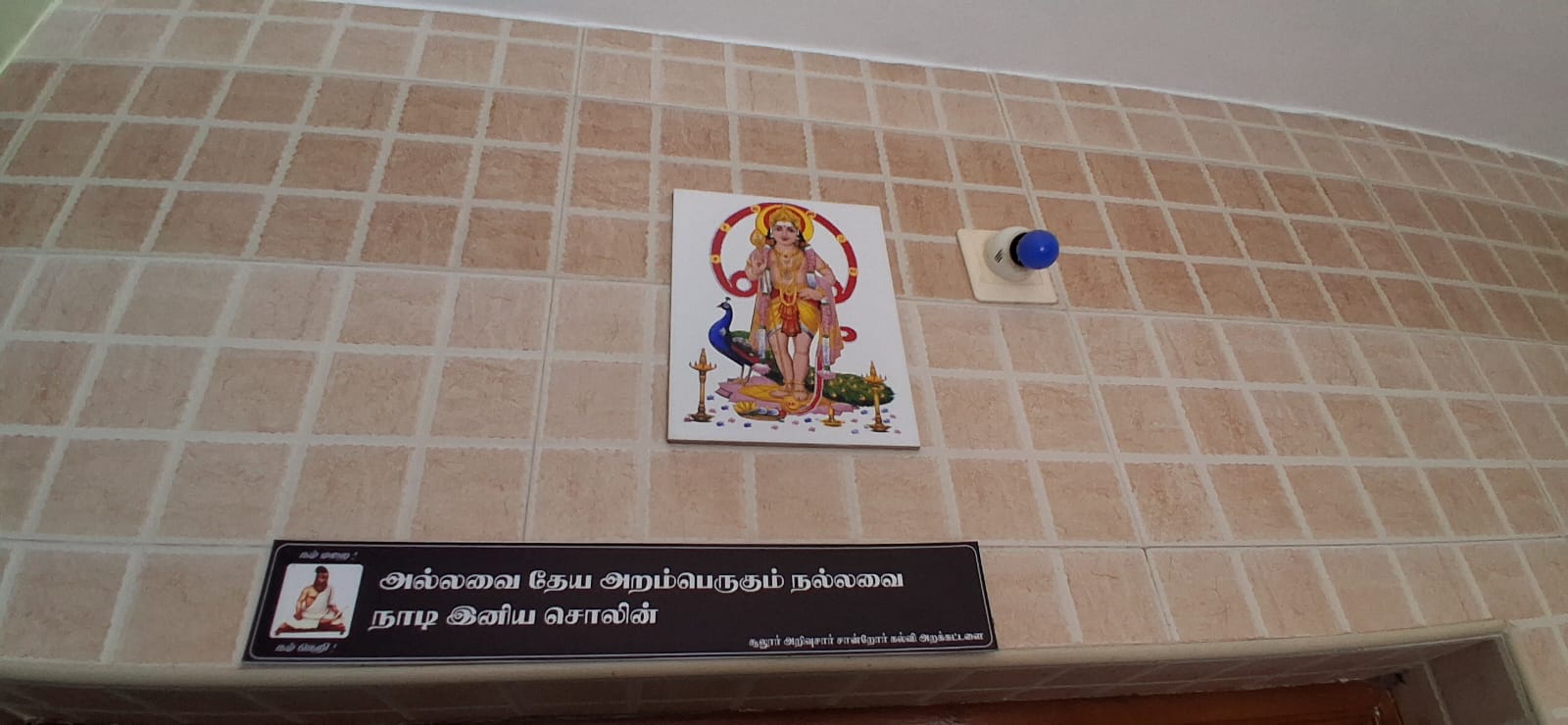 Gallery image 17