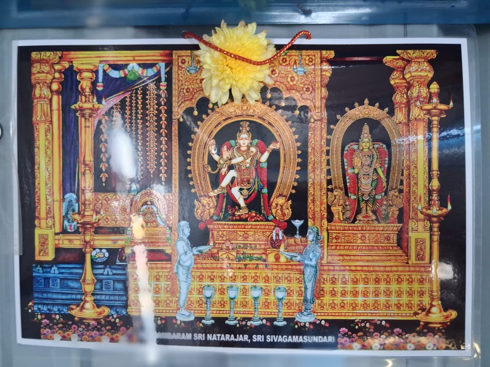 Gallery image 3